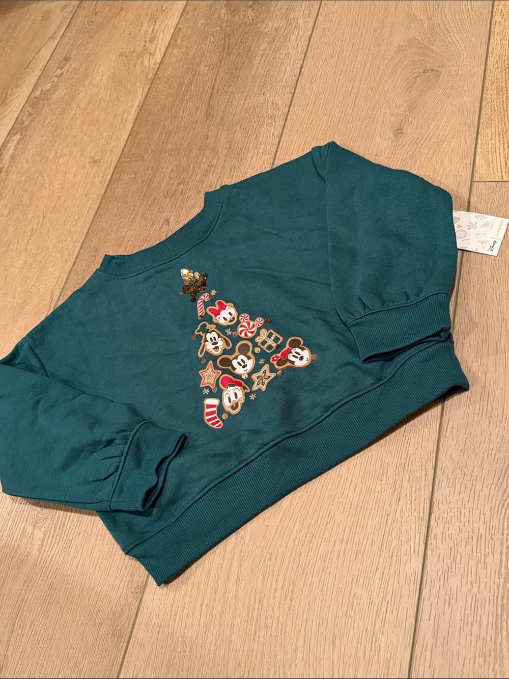 jumping beans Teal Kids Holiday Character Sweatshirt
